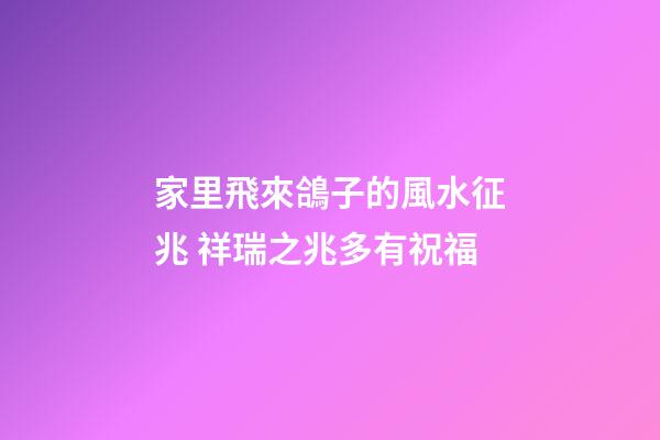 家里飛來鴿子的風水征兆 祥瑞之兆多有祝福